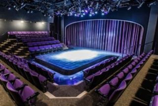Purple Rose Theatre: What Springs Forth Trip